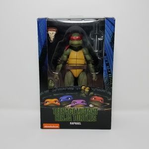 Teenage Mutant Ninja Turtle Action Figure